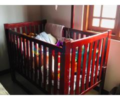 Used cot bed / Study Table & Cupboard