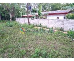 Land for sale in Kurunegala- Mallawapitiya