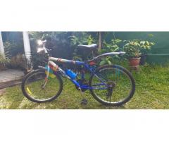 12 Speed Bicycle for Sale
