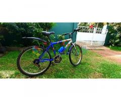 12 Speed Bicycle for Sale