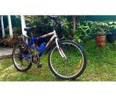 12 Speed Bicycle for Sale