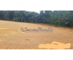 Big Land from Payagala Kalutara