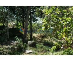 Land For Sale in Narammala 