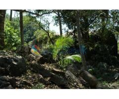 Land For Sale in Narammala 