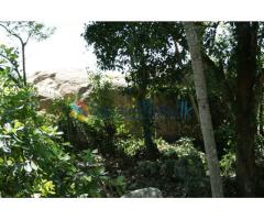 Land For Sale in Narammala 