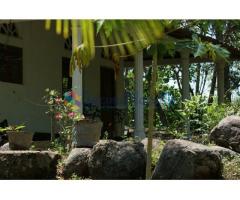 Land For Sale in Narammala 