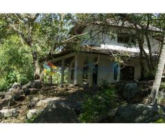 Land For Sale in Narammala 