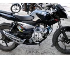 pulsar 135