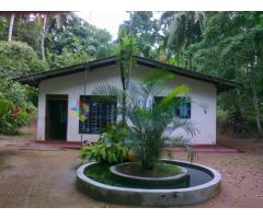 House & Land for sale