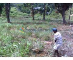 Bare Land at Hanthana, Kandy 