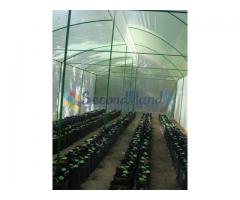 Green House Farming 