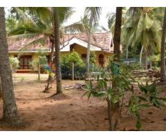 Land For Sale - Hambantota