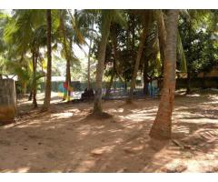 Land For Sale - Hambantota