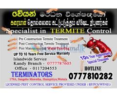 Termite & Pest Management