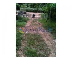 8.05 Purchase Land for Quick Sale...!