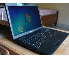 Toshiba Satellite C655D-S5518 Laptop