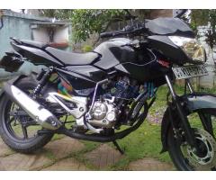 Pulsar 135LS