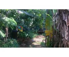 Land with House in Maharagama for Sale