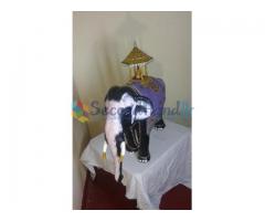 Fiber elephants-house warming gift item-Good luck symbol