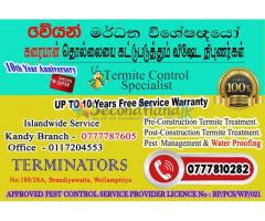 Termite & Pest Mangement