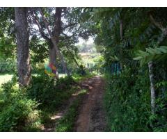 Good Investment Opportunity Land from Habaraduwa