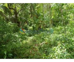 Good Investment Opportunity Land from Habaraduwa