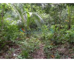 Good Investment Opportunity Land from Habaraduwa