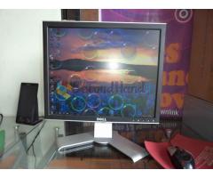 Dell LCD Monitor 17